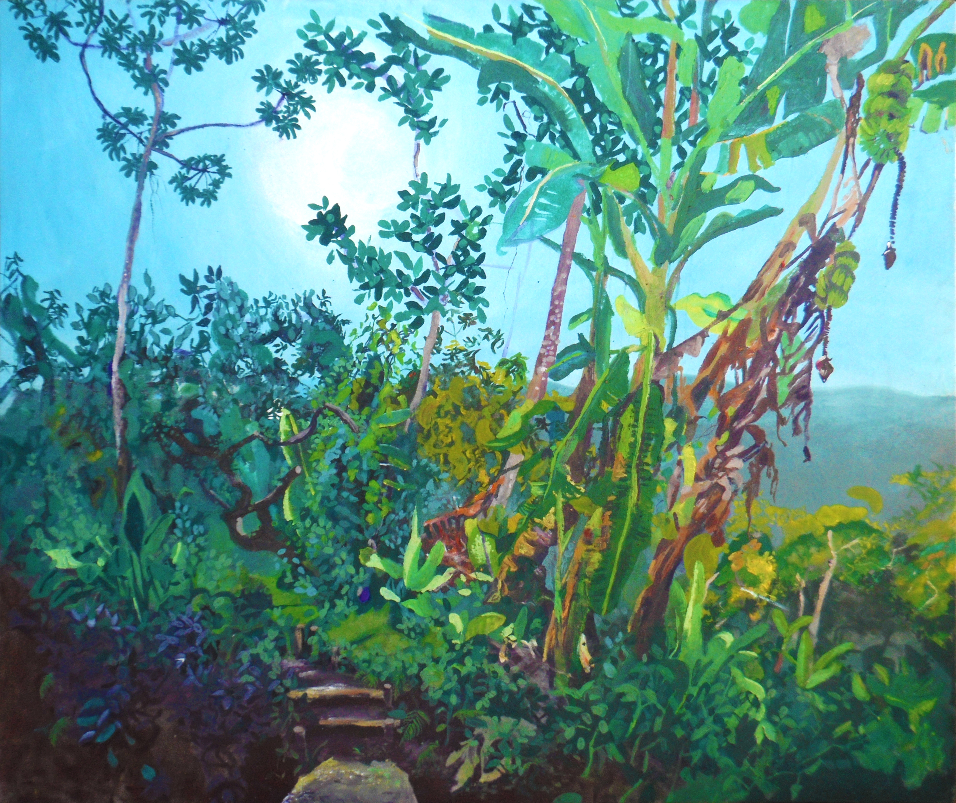 Vermalha do Norte Selva